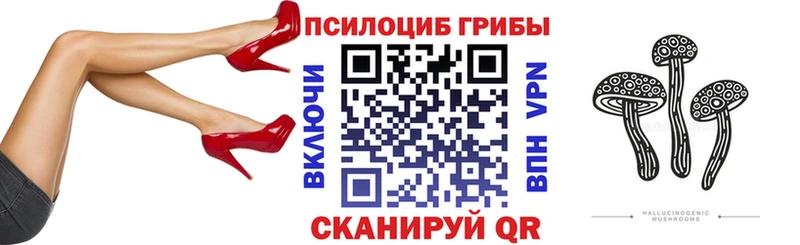 Галлюциногенные грибы Psilocybine cubensis  наркошоп  Фрязино 