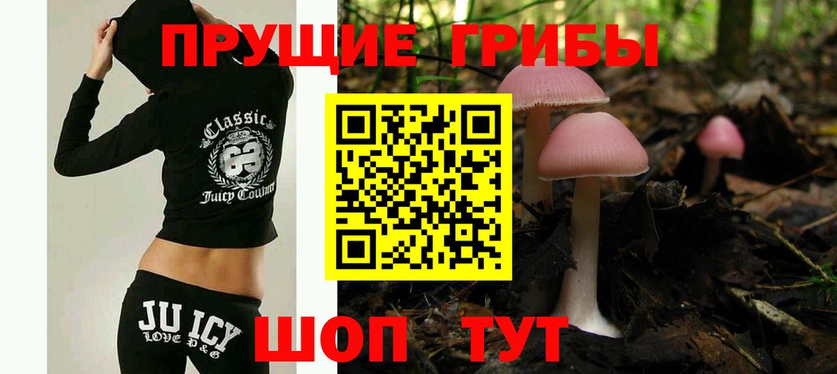 Псилоцибиновые грибы прущие грибы  закладка  Фрязино  Вход с VPN 